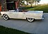 1955 Ford Thunderbird for sale 101004825
